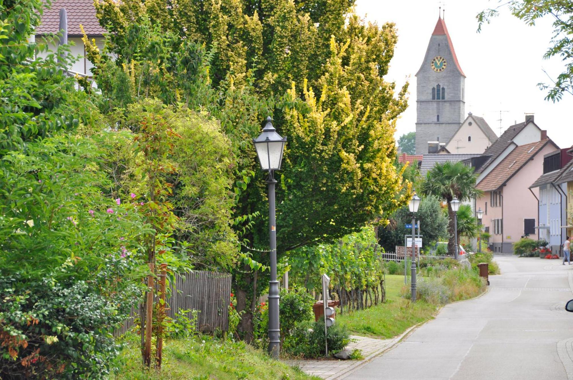 Auszeit Apartment Hagnau Bagian luar foto
