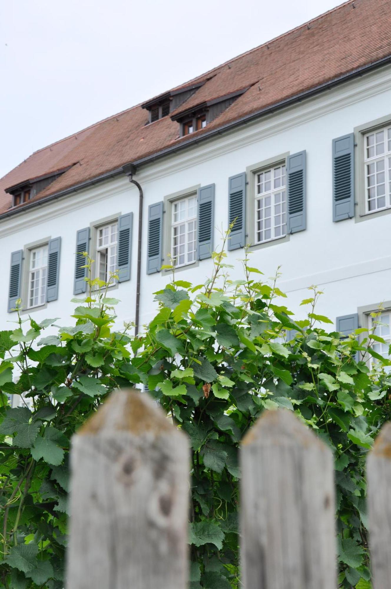 Auszeit Apartment Hagnau Bagian luar foto
